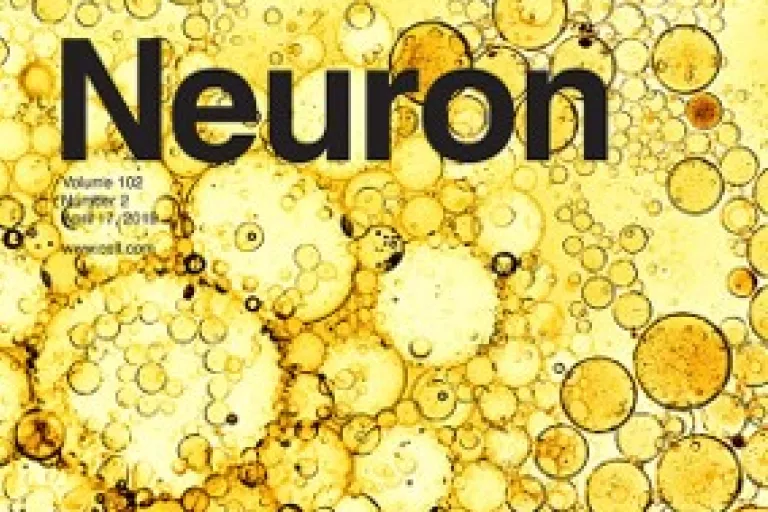 Neuron cover 2019