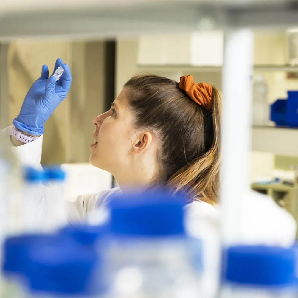 Da Cruz lab members at work